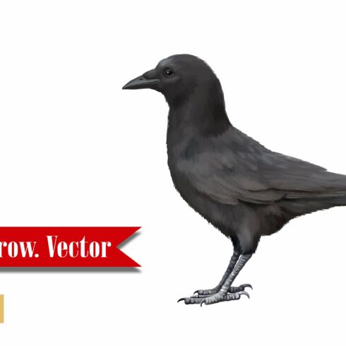 crow cliparts 2024