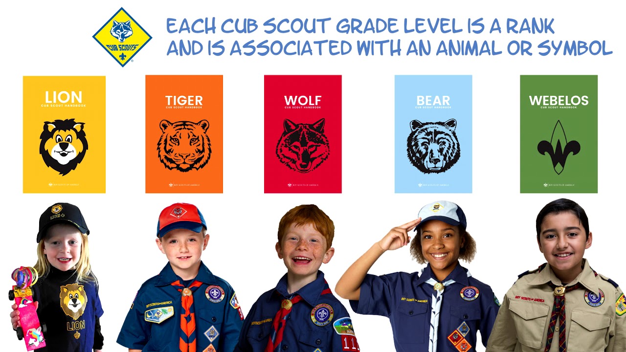 cub scout