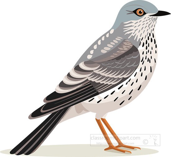 Bird Clipart-brown cuckoo bird