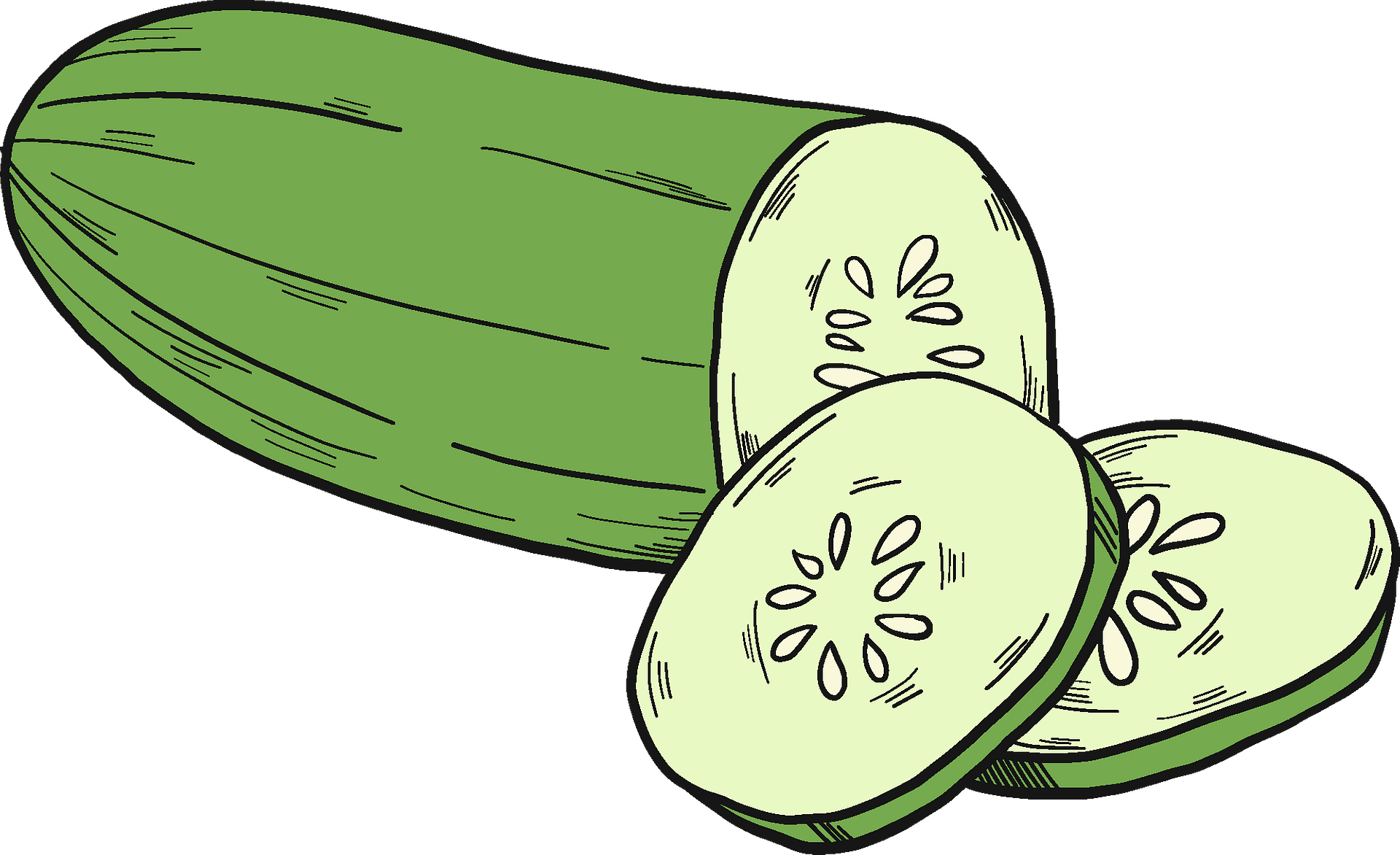 Cut cucumber - Free vector clipart images on clipart library.com