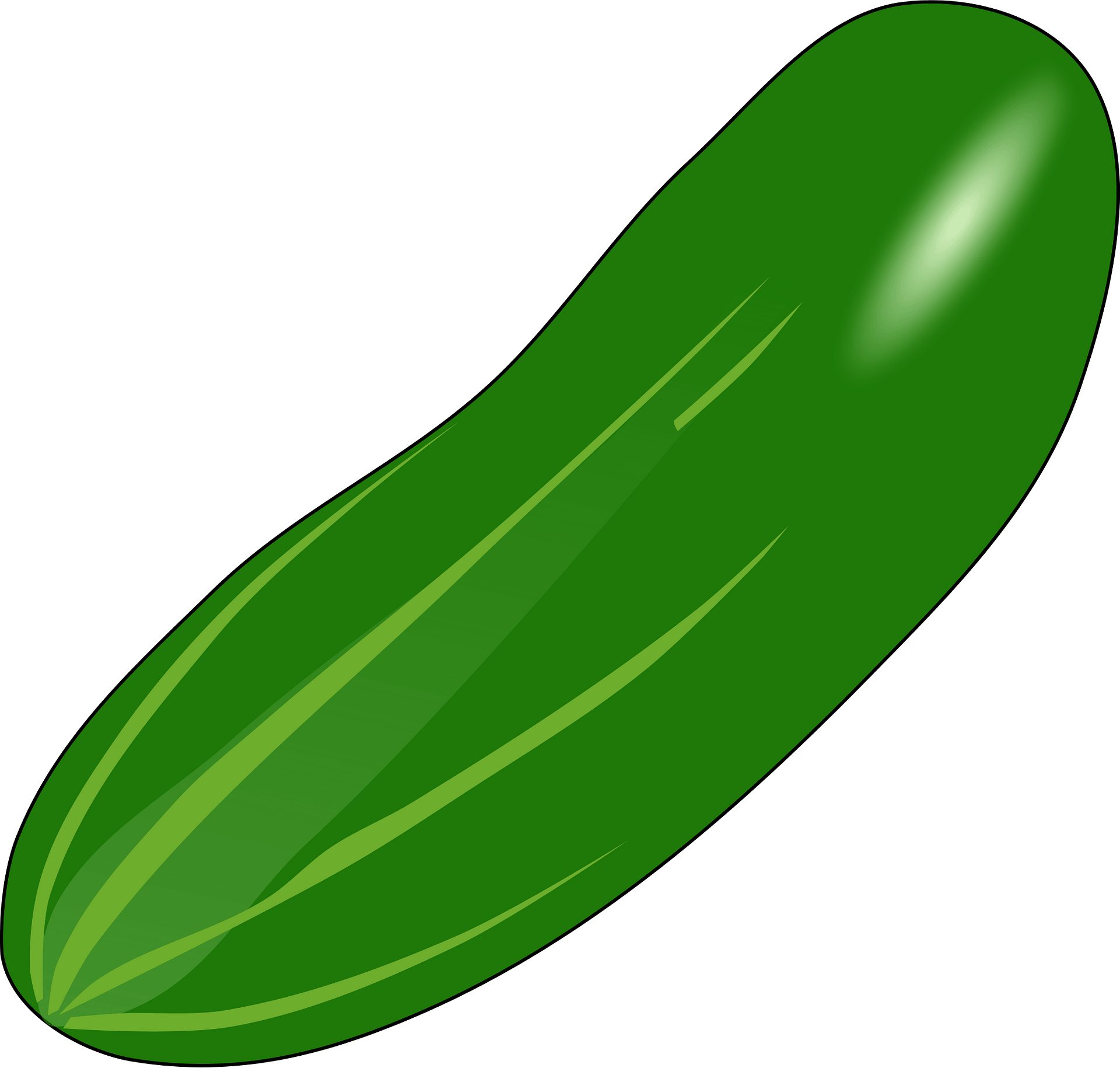 Cucumber - Free vector clipart images on clipart library.com