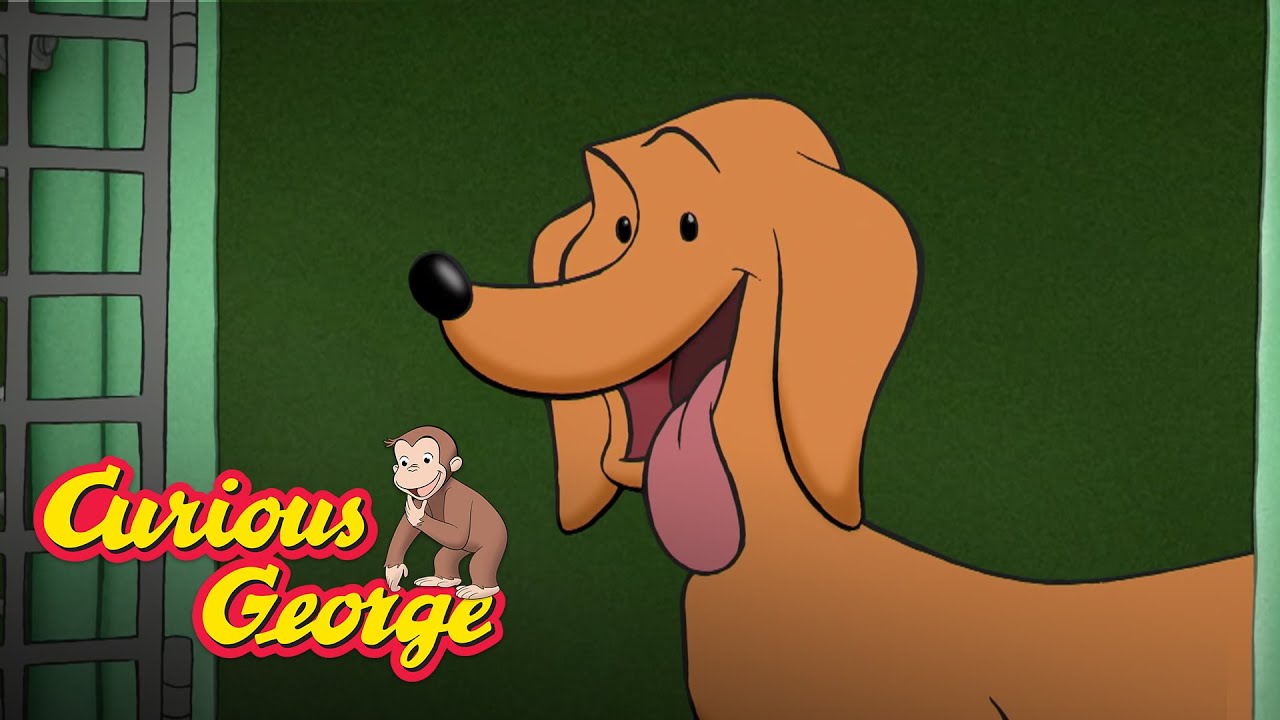 Free Hundley ? Curious George ?Kids Cartoon ? Kids Movies ?Videos for  Kids