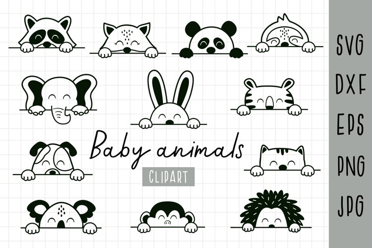cute animal clipart