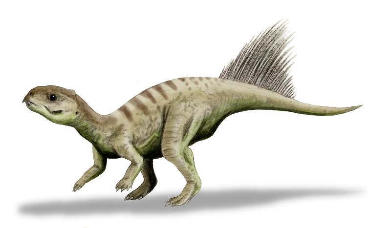 Top 10 Cutest Dinosaurs