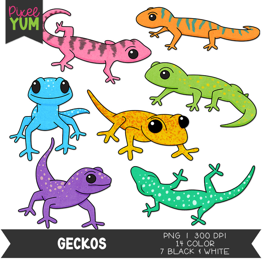cute gecko cliparts