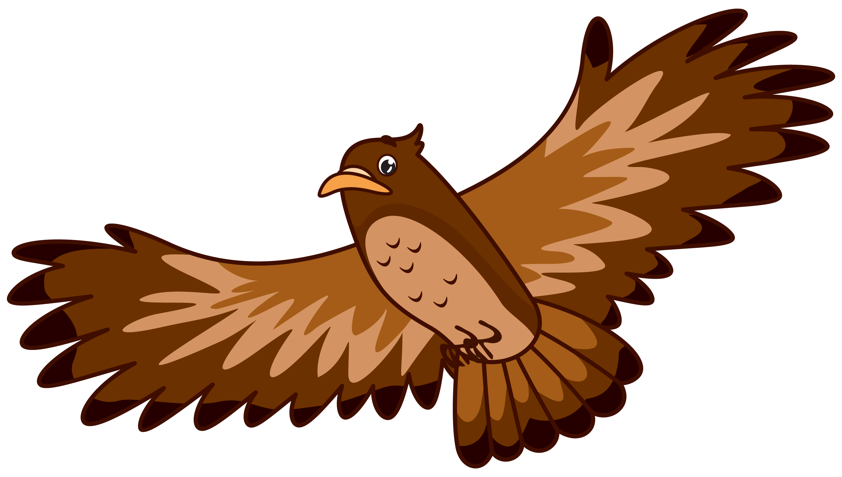 Hawk - Free vector clipart images on clipart library.com