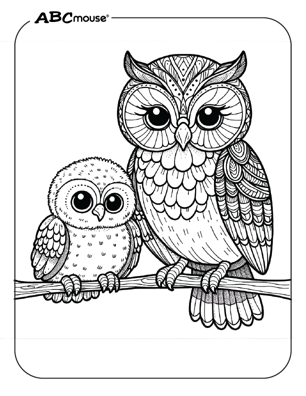 cute owl coloring pages