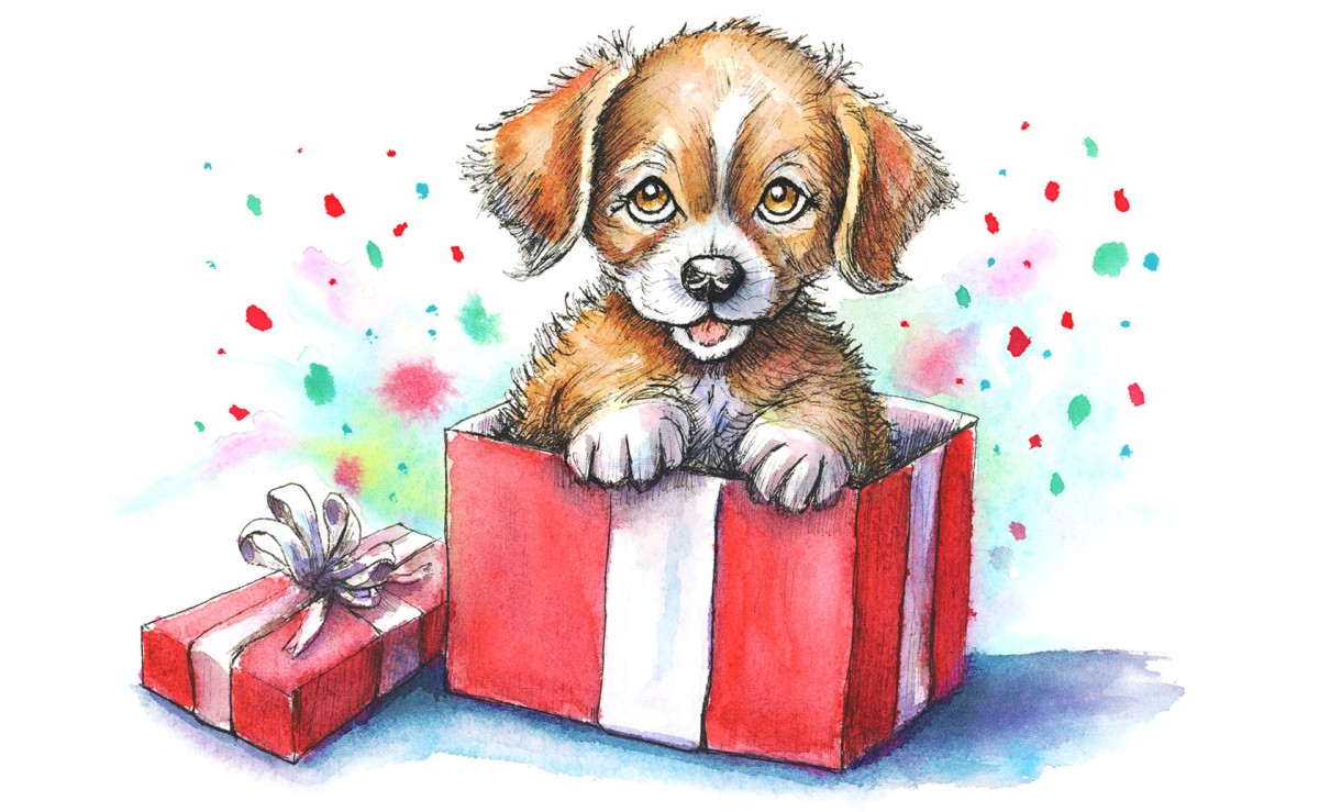 cute present cliparts 2024
