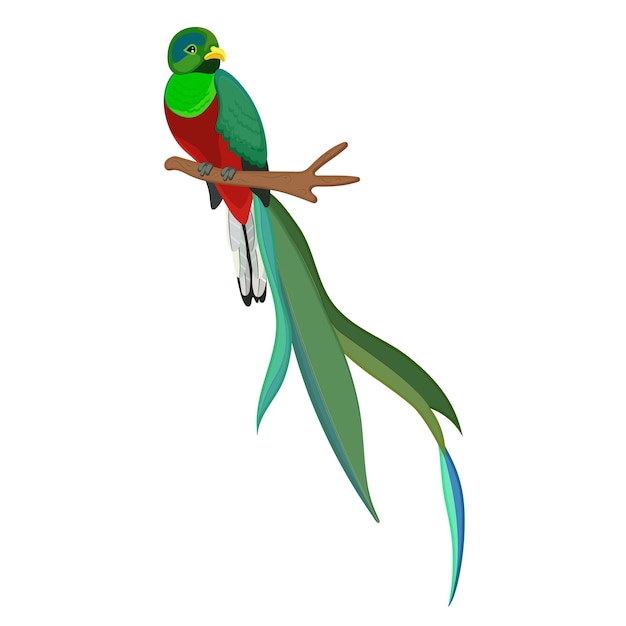 cute quetzal cliparts