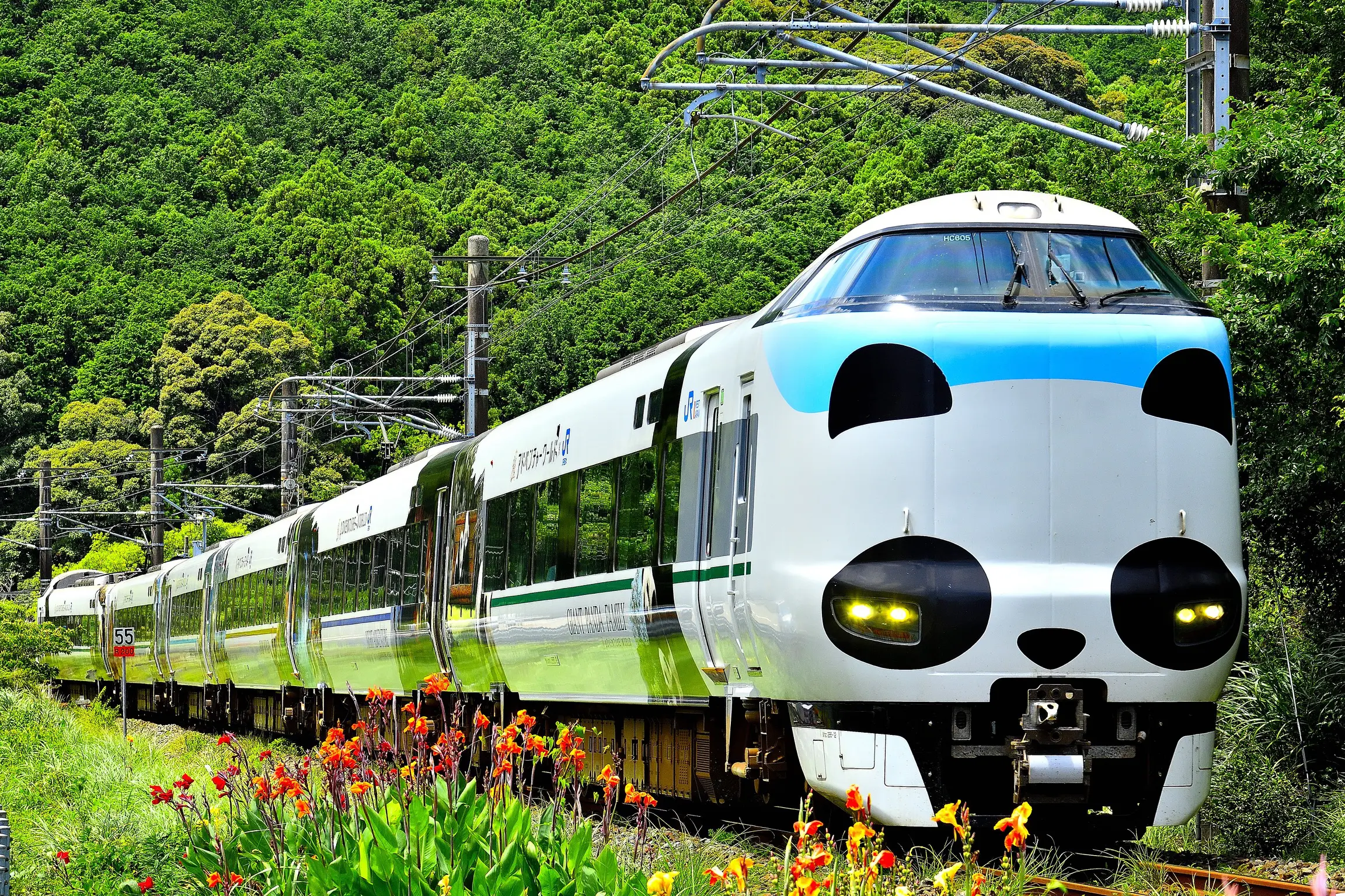 Five of the Cutest Trains in Wakayama | Tokyo Weekender