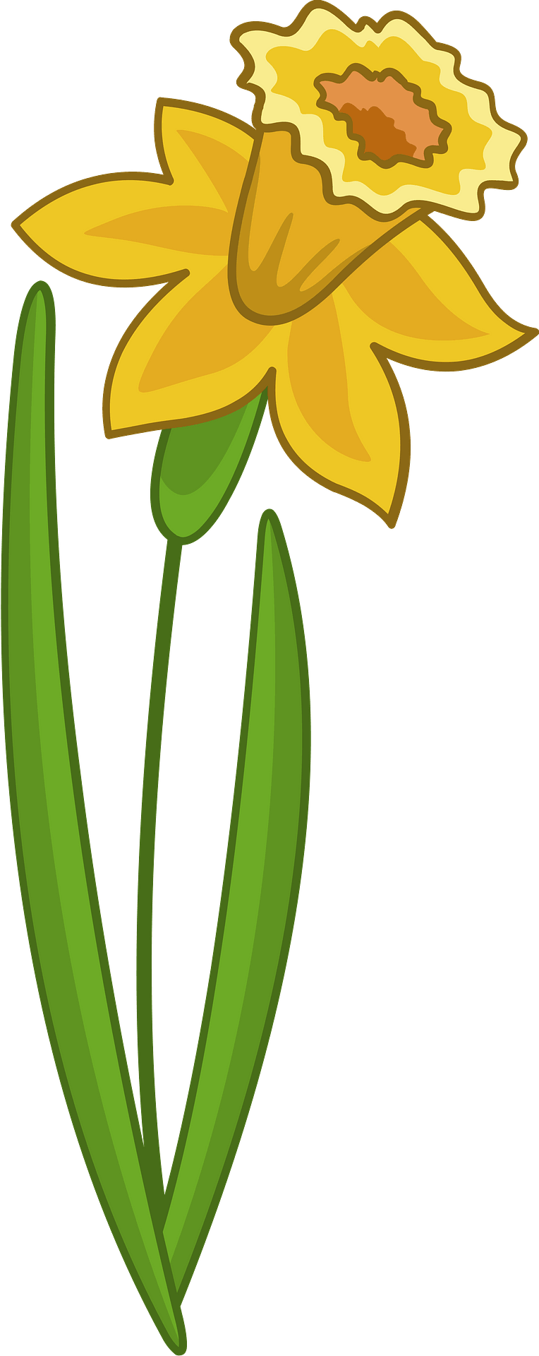 daffodil clip art
