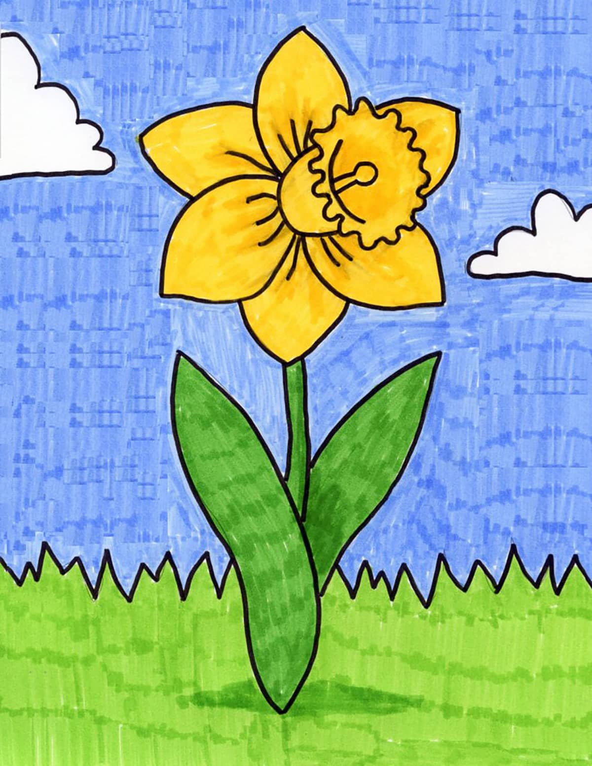 Easy How to Draw a Daffodil Tutorial Video, Daffodil Coloring Page