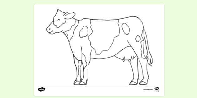 dairy cow coloring pages