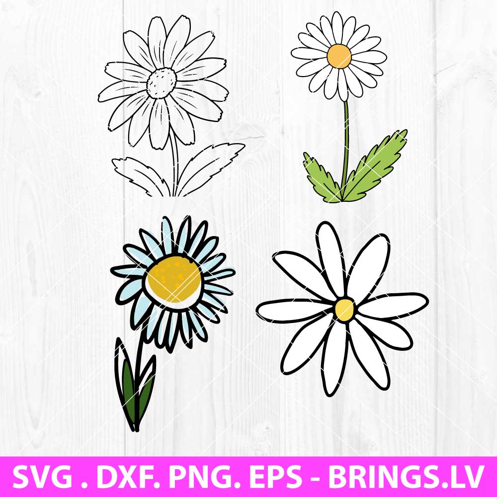 daisy flower clipart 2024