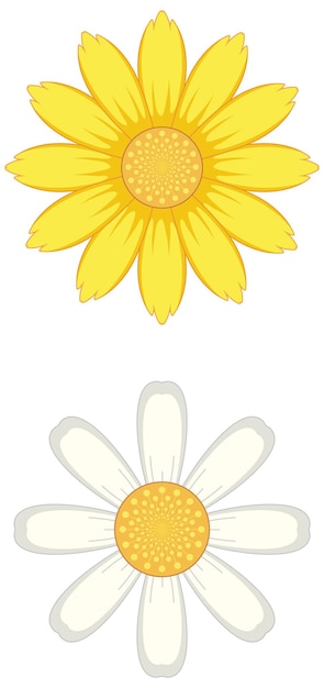 daisy flower clipart