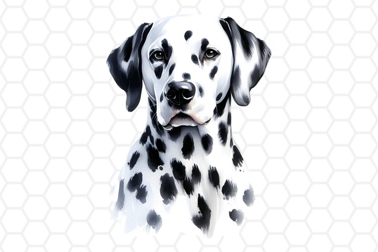 dalmatian cliparts