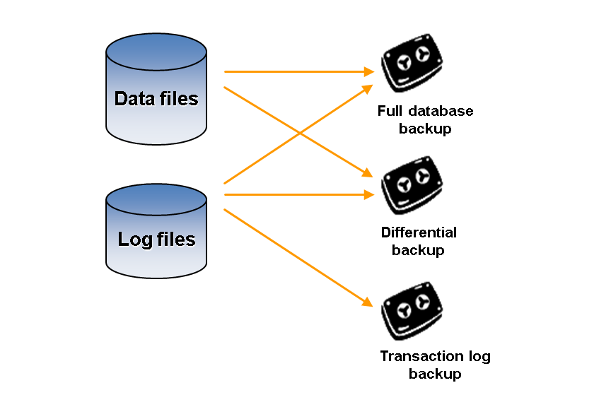 Backup Types | SAP Help Portal