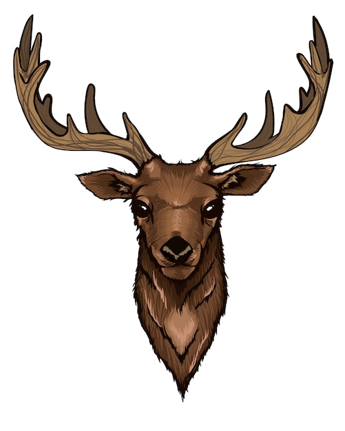 Deer Head Clipart Vectors &amp; Illustrations for Free Download | clipart library