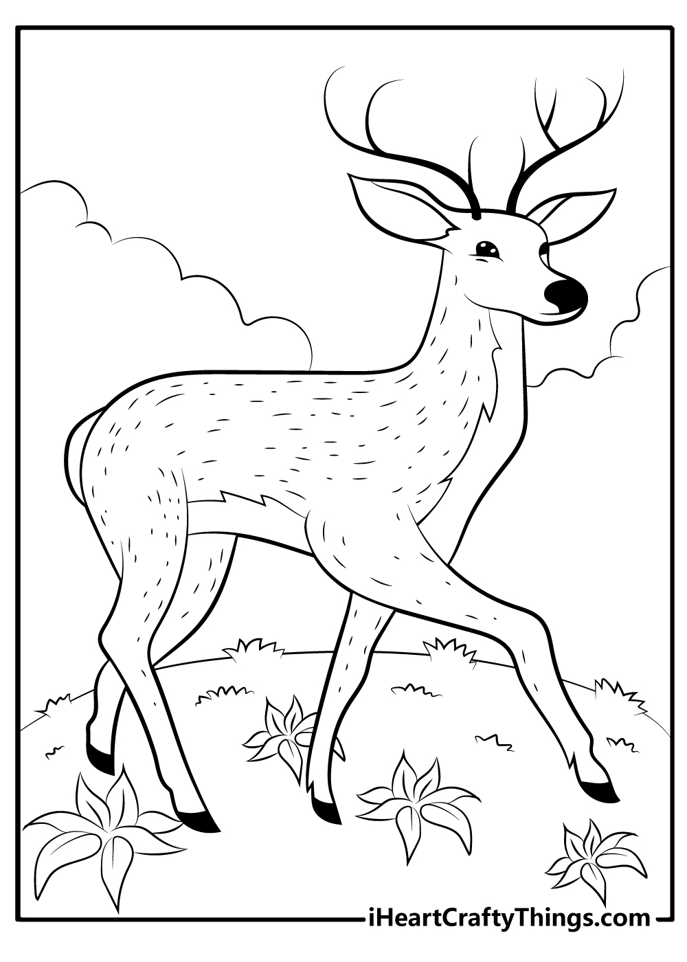 deer pictures to print