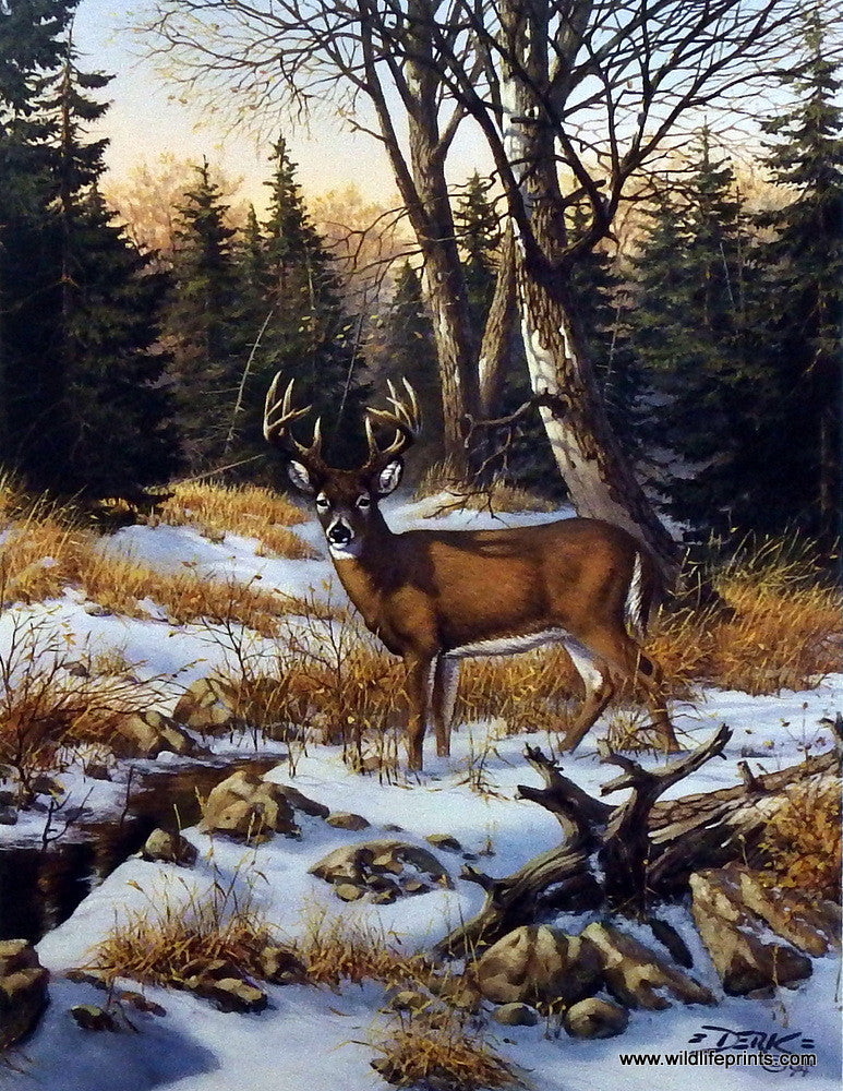 deer pictures to print