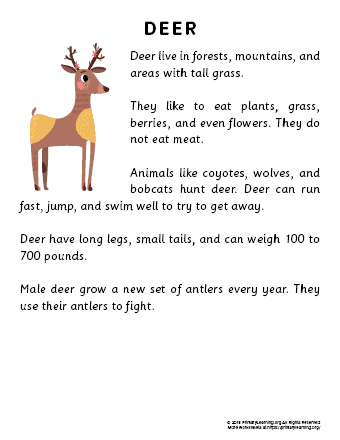 Deer Reading Passage | PrimaryLearning.Org