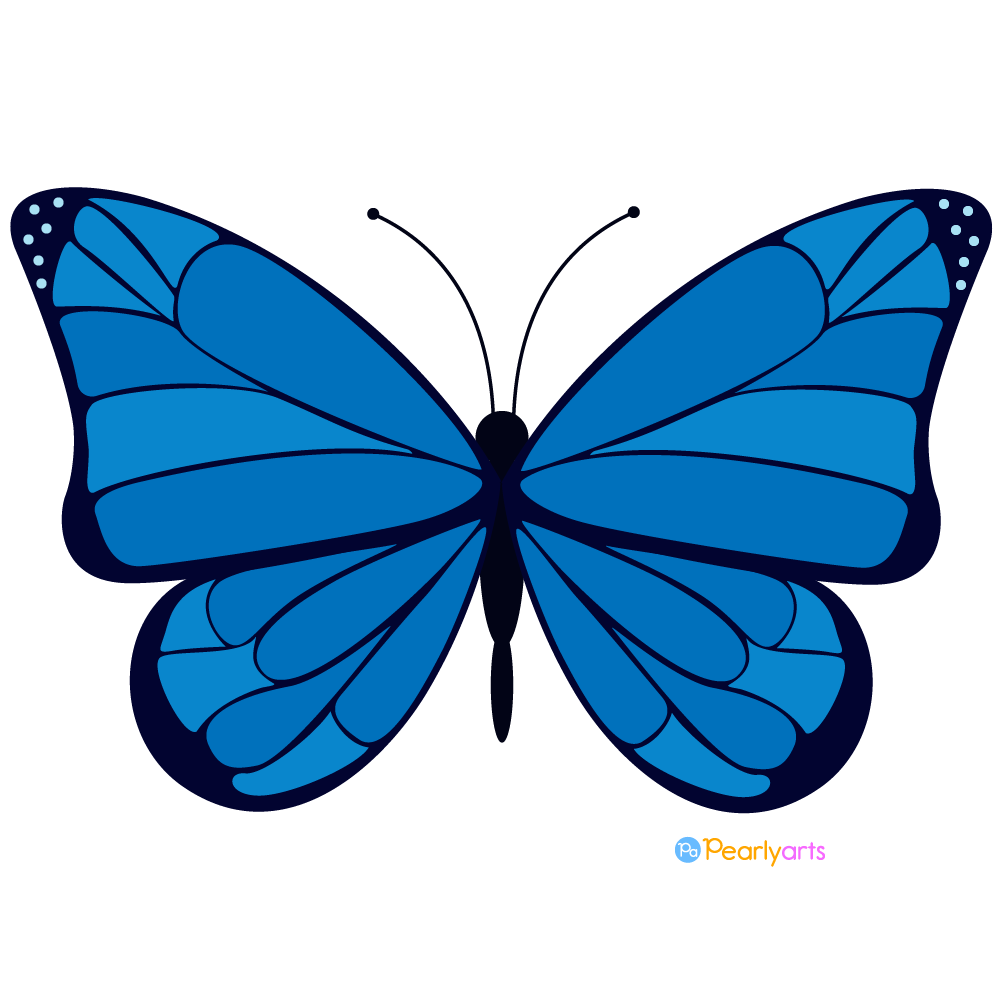 design butterfly cliparts 2024