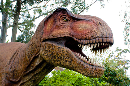 dino pictures