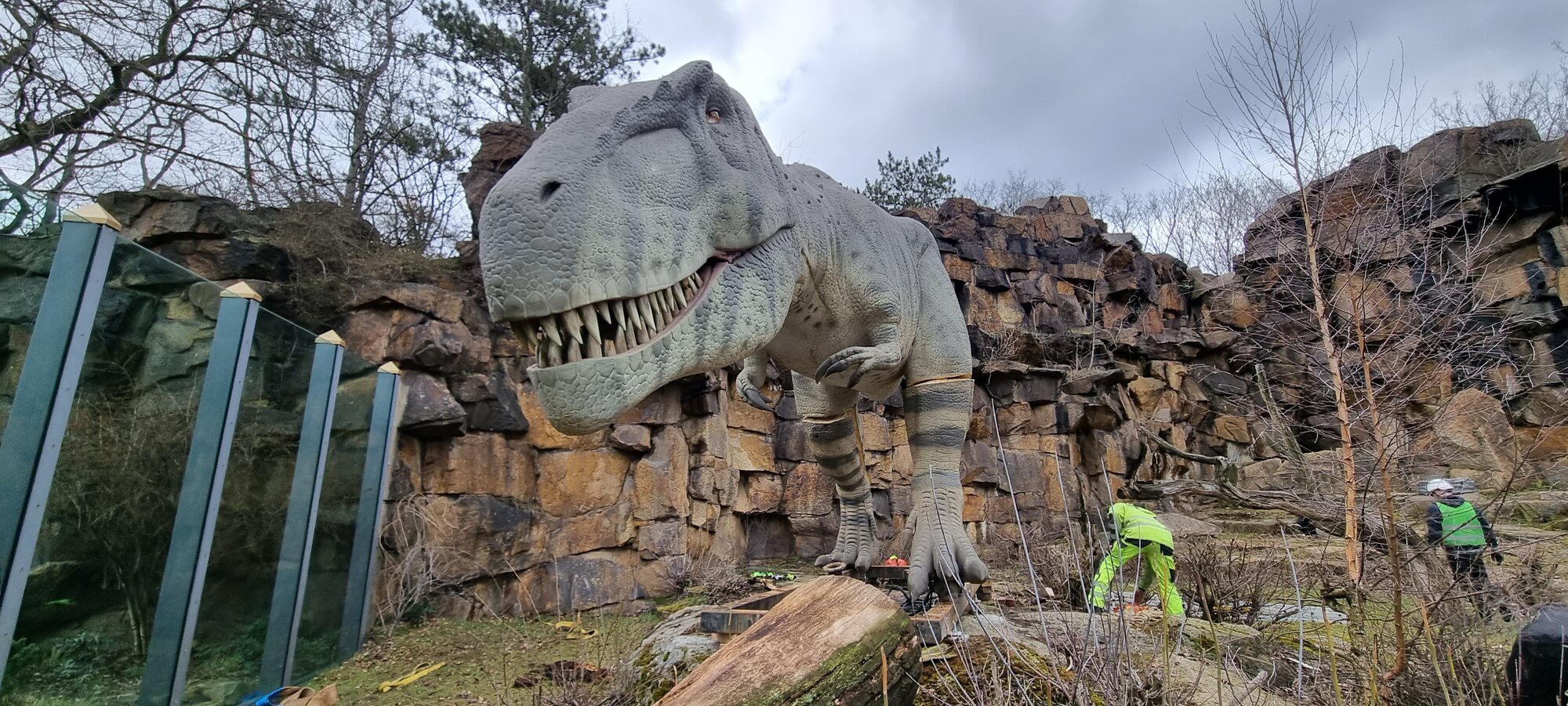 Incoming dino – Zoo Berlin