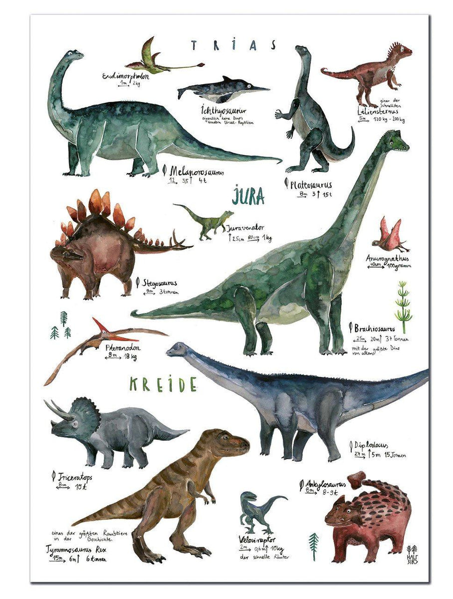 Kinderfrage: Waren die Dinos schlau?