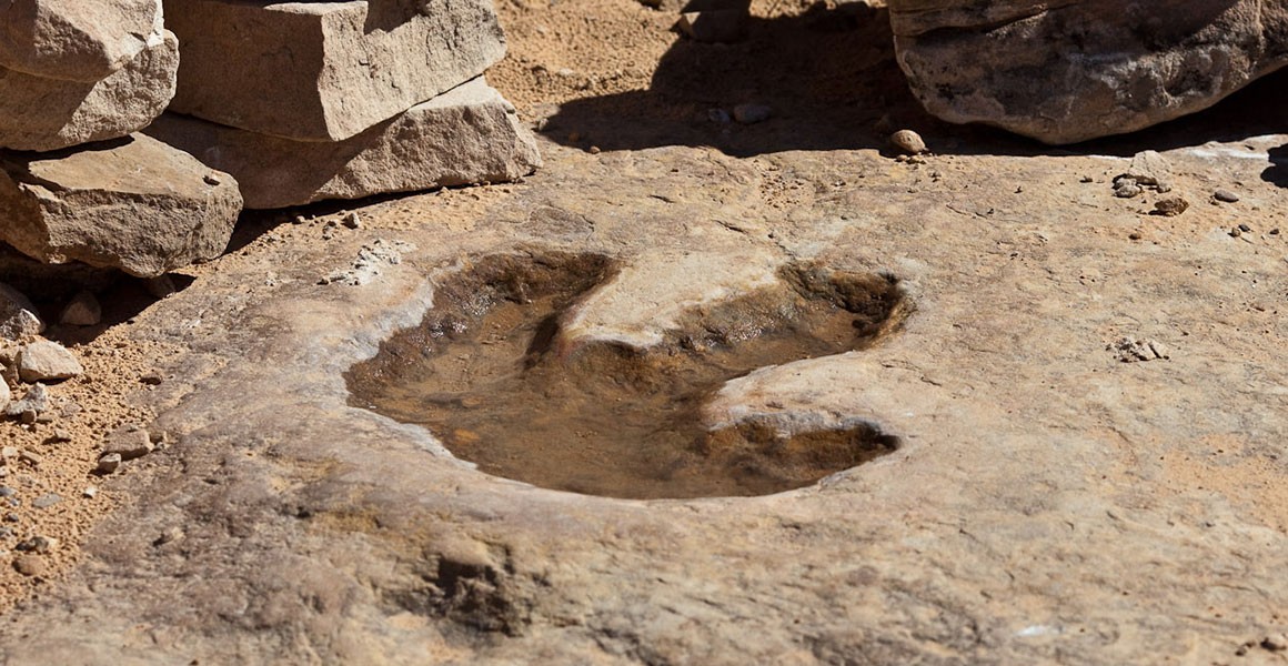 Dinosaur footprints: how do they form and what can they tell us ...