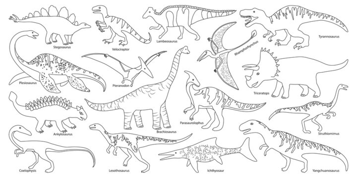 Dinosaur Outline-Bilder: Stock-Fotos &amp; -Videos. | Adobe Stock
