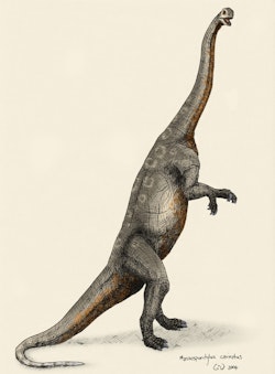Dinosaur Images &amp; Facts - The Online Database