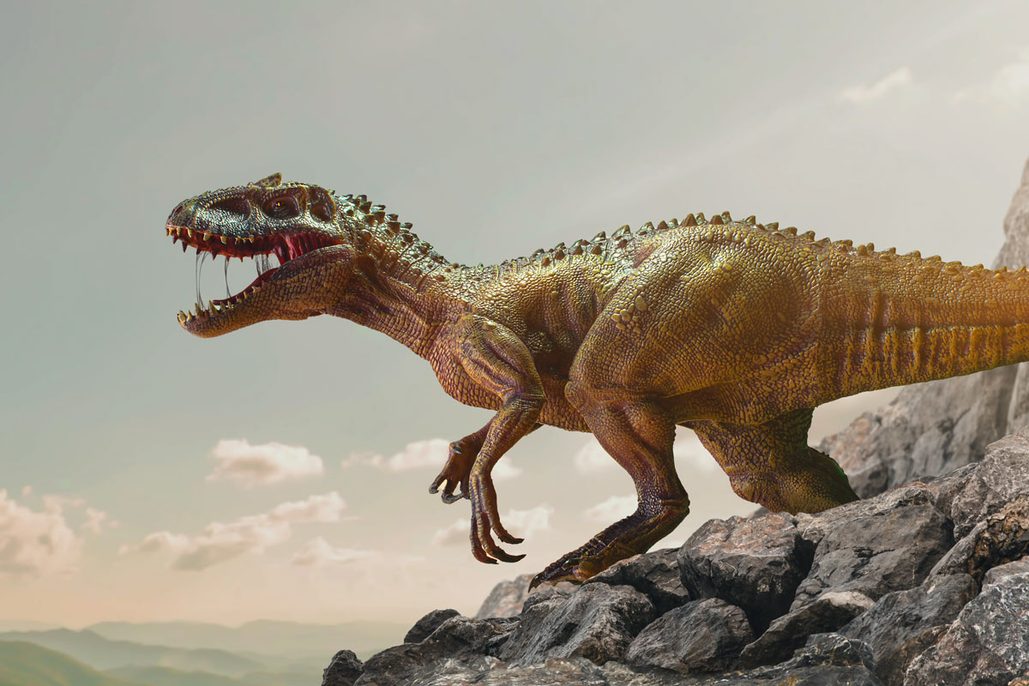 7 dinosaurs weve all been getting completely wrong | BBC Science ...