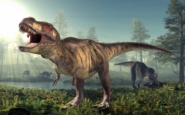 How Smart Were Dinosaurs? New Studies Fuel the Debate | Scientific ...