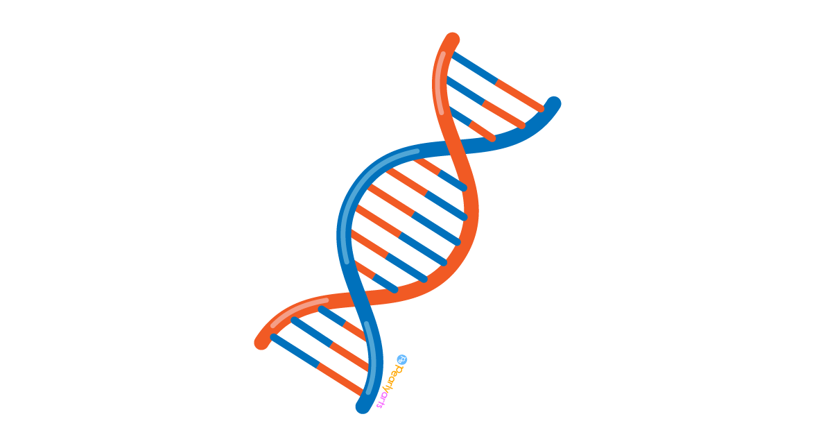 FREE DNA Clipart (PNG file) | FREE Download | Pearly Arts