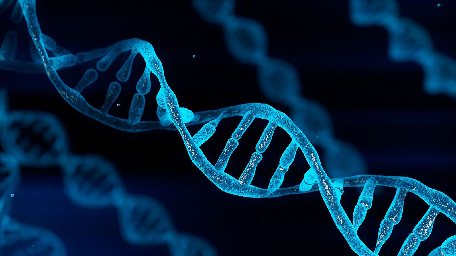 DNA | Definition, Discovery, Function, Bases, Facts, &amp; Structure ...