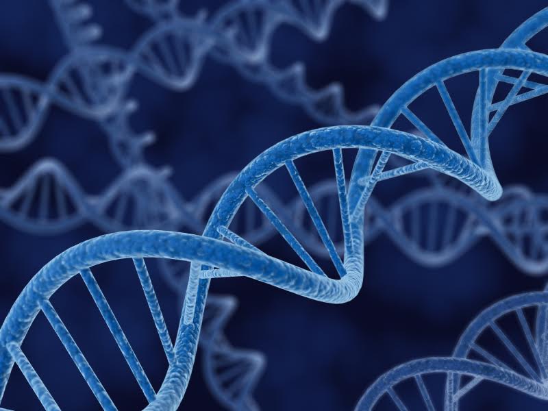 DNA Topology - Serious Science