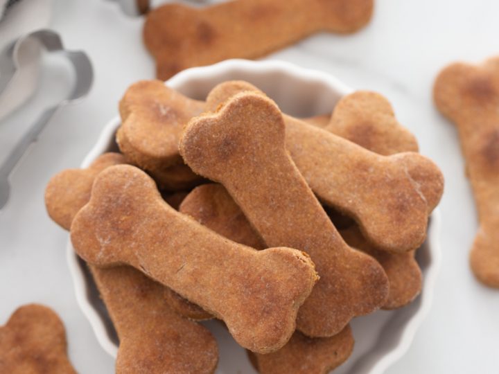 dog biscuits
