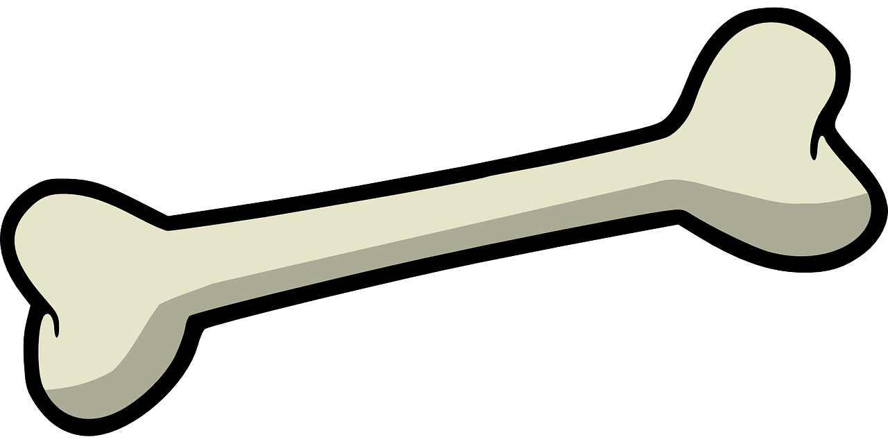 dog bone graphic