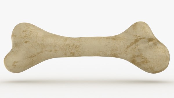 Hundeknochen 3D-Modell - TurboSquid 1566272