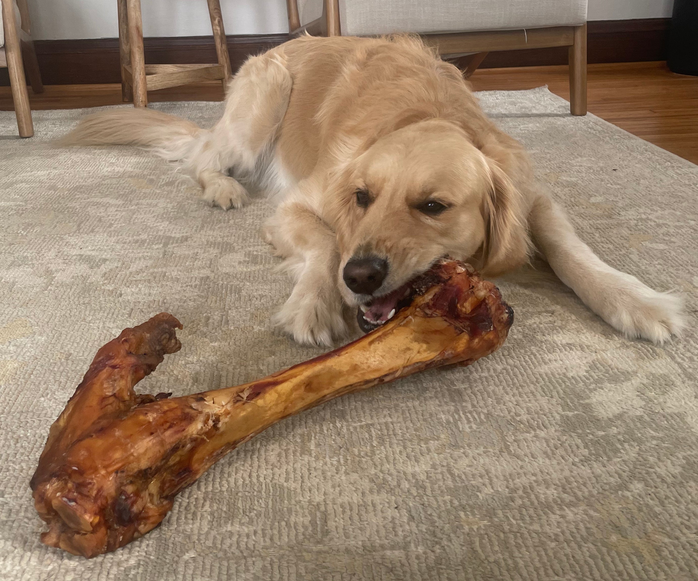 Big Ol Bone - Giant Dog Bones For Aggressive Chewers | Farmers Fetch