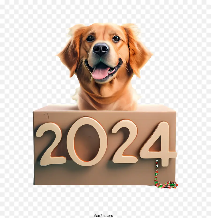 dog cliparts transparent 2024