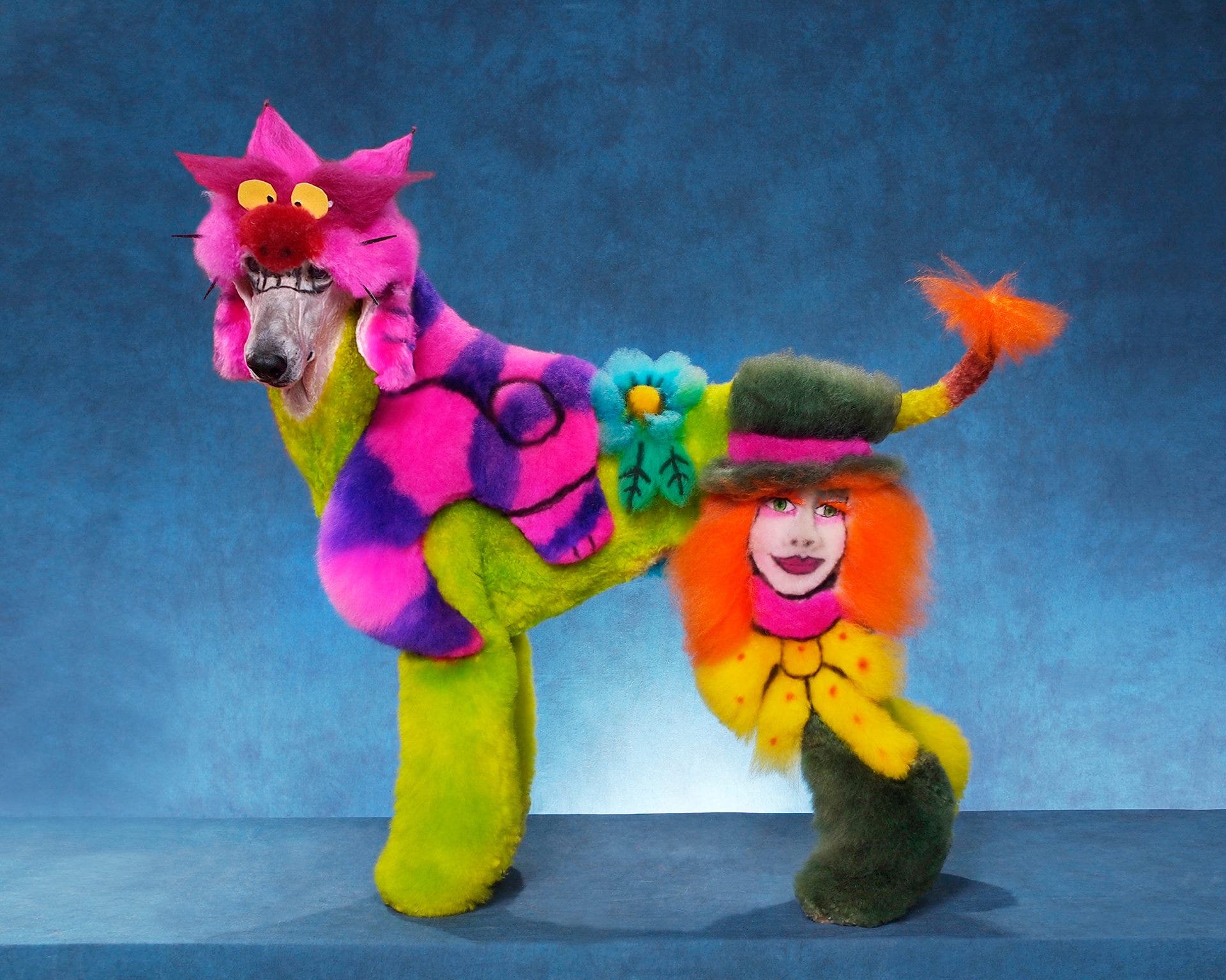 dog grooming art