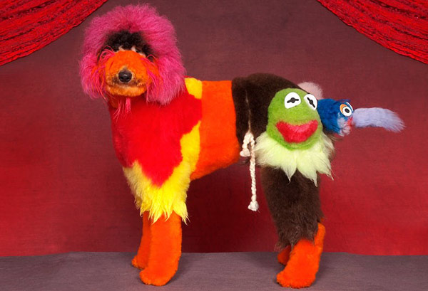 dog grooming art