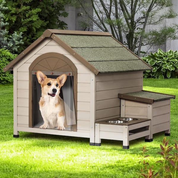 dog house pictures