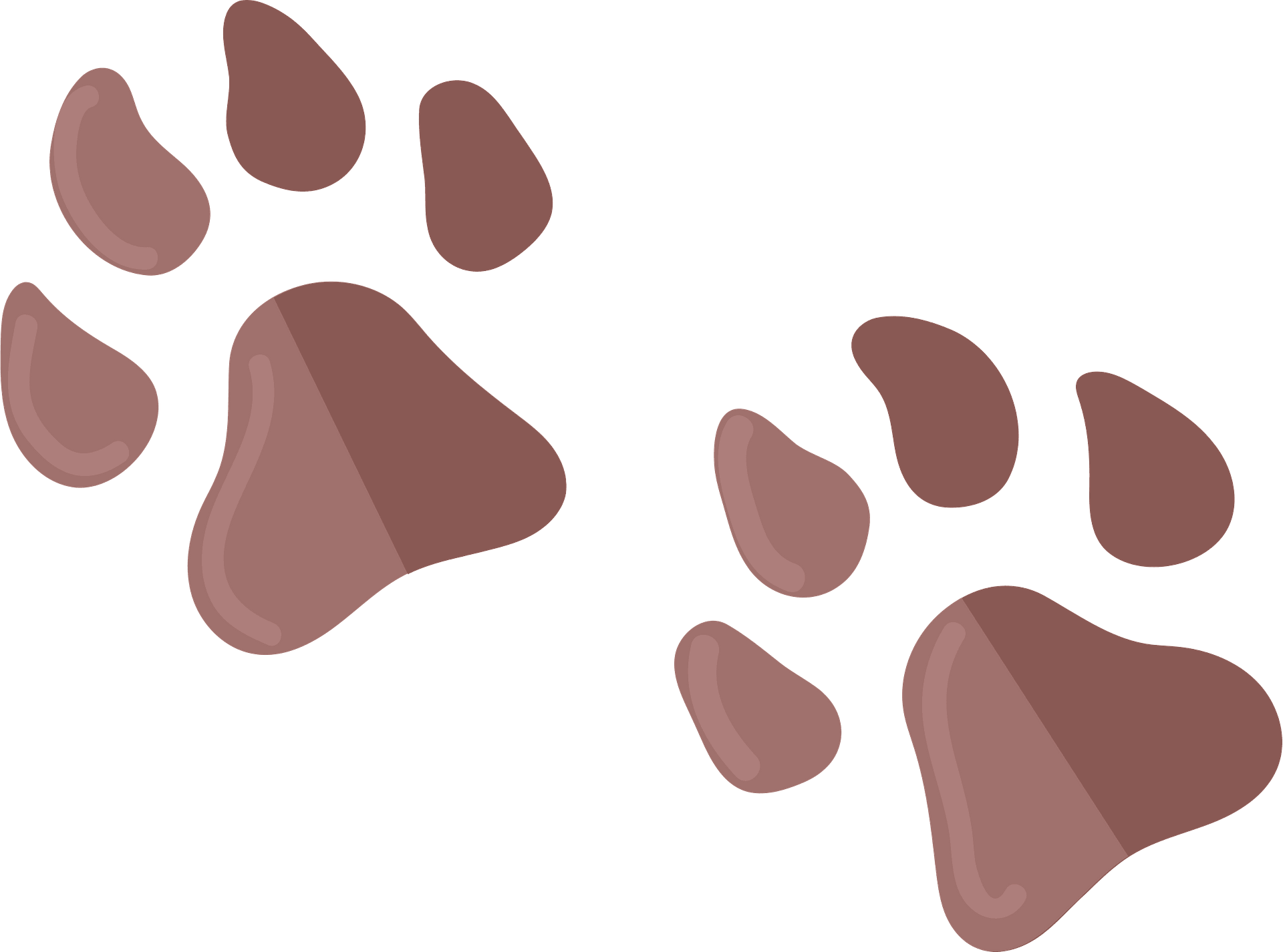 dog paw clipart