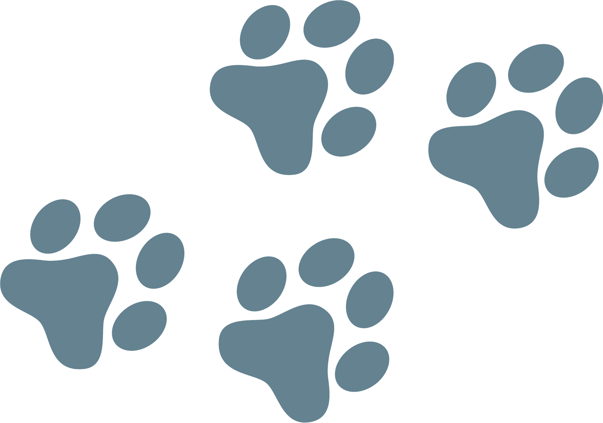 dog paw prints clipart