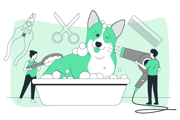 dog washing cliparts 2024
