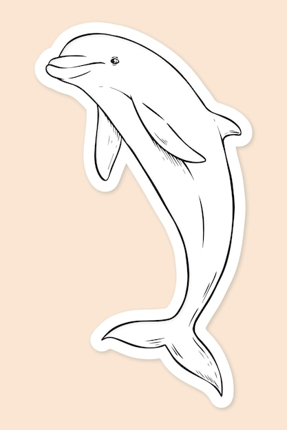 dolphin line art