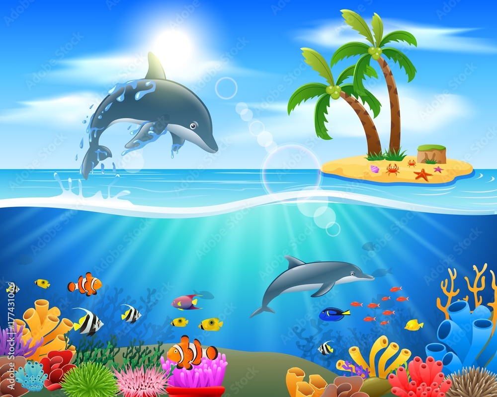 dolphin pictures cartoon